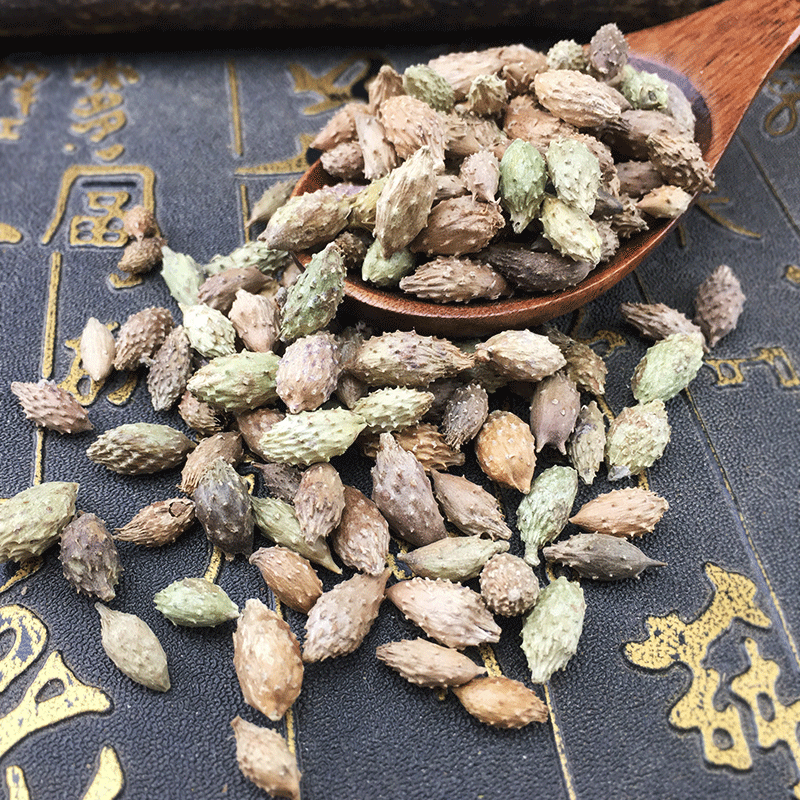 Cang Er Zi Dried Xanthium Fruit Whole Herb Bulk Traditional Chinese Herbal Ingredient 500g - Image 3