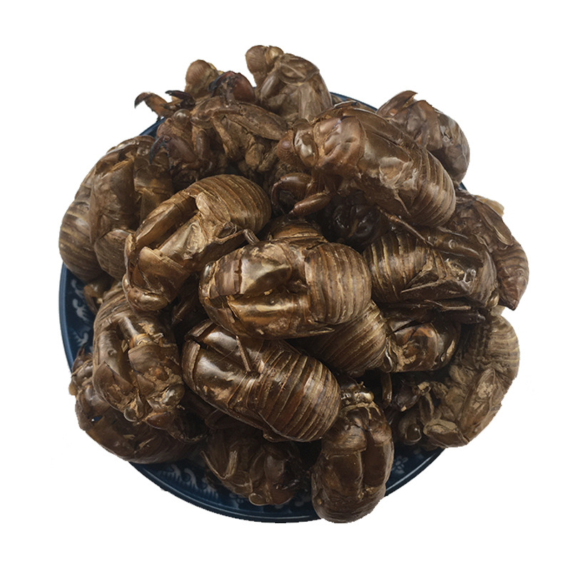 Cicada Slough Chan Tui 蝉蜕 Dried Whole Molts Traditional TCM Herb 500g Washed and Sun Dried - Image 5