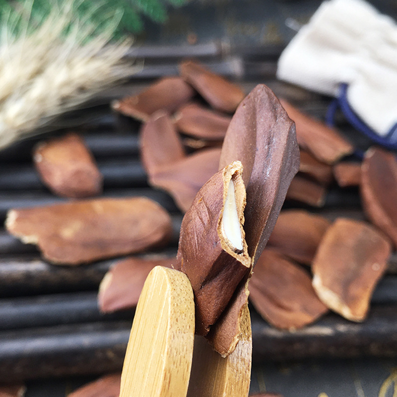 Xiang Tian Gu Seeds Fructus Hydnocarpi Dried Whole Seeds Bulk 1 Jin 500g - Image 3