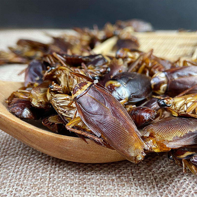 Dried Cockroach Whole Insect Yan Lang 500g Traditional Chinese Herbal Material Sun Dried - Image 4