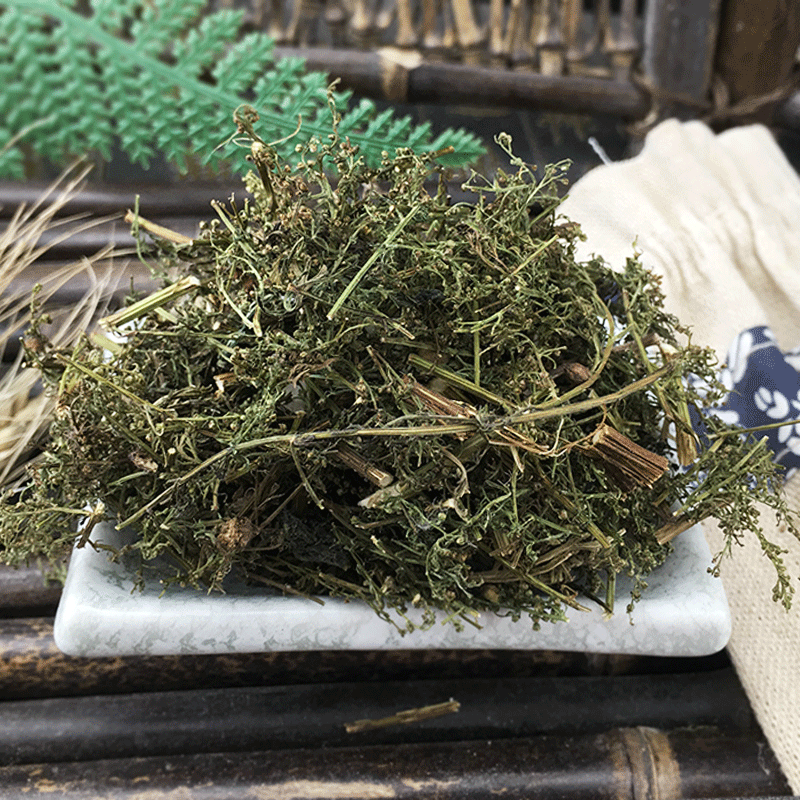 Dried Sweet Wormwood Herb Qing Hao 500g Fresh Batch Artemisia annua Leaves Traditional Herbal Tea Ingredient - Image 3