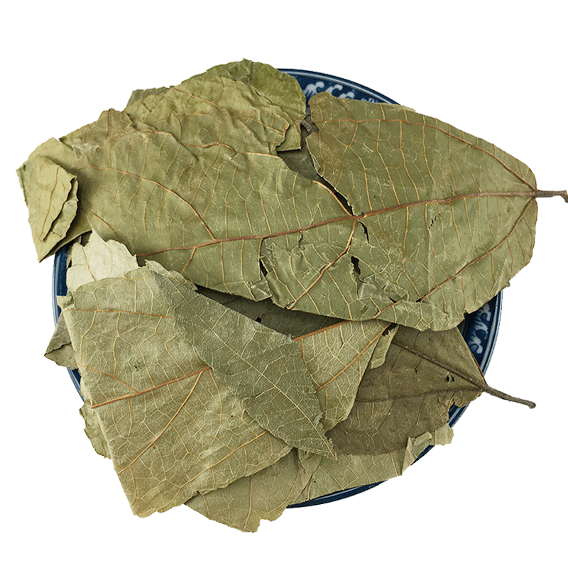 Bu Zha Ye Dried Microcos Leaf Clean New Harvest Bulk Wholesale Supply - Image 5
