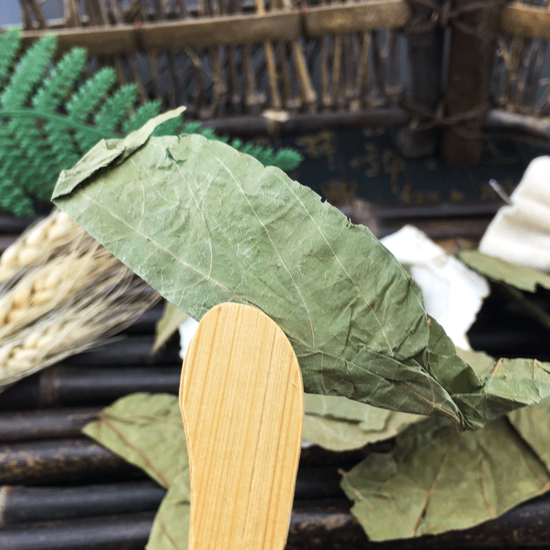 Bu Zha Ye Dried Microcos Leaf Clean New Harvest Bulk Wholesale Supply - Image 2