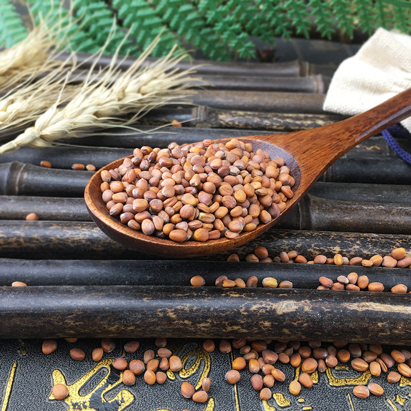Dried Raphanus Seed Lai Fu Zi Radish Seeds Bulk 500g Traditional Herbal Ingredient - Image 4