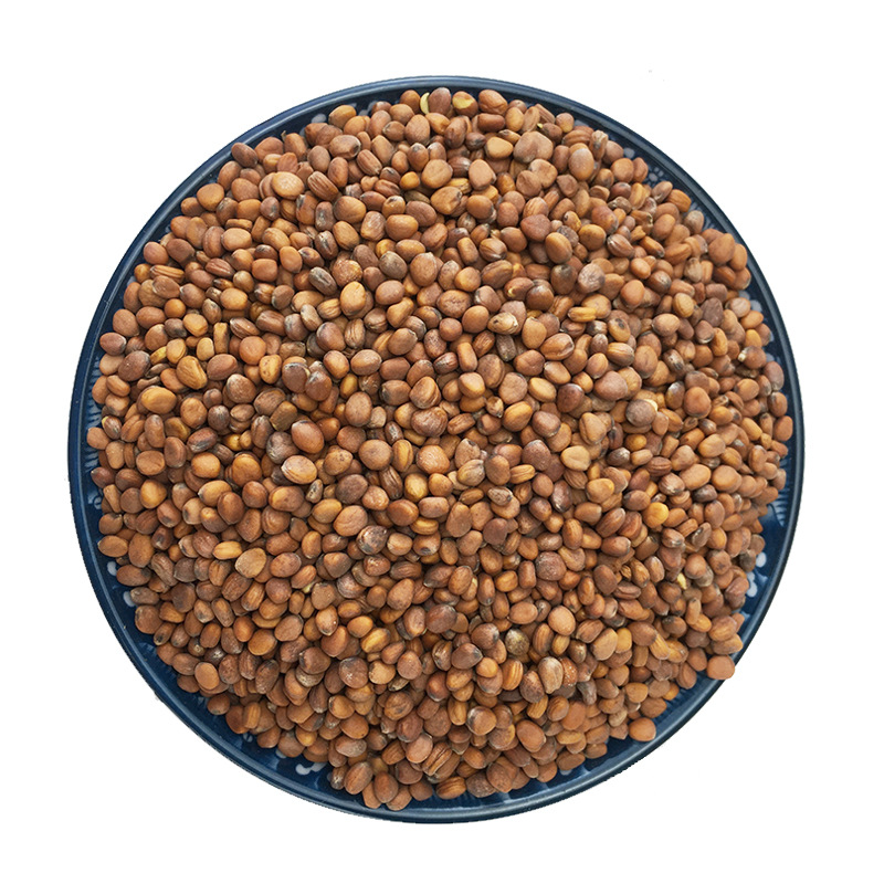 Dried Raphanus Seed Lai Fu Zi Radish Seeds Bulk 500g Traditional Herbal Ingredient - Image 5