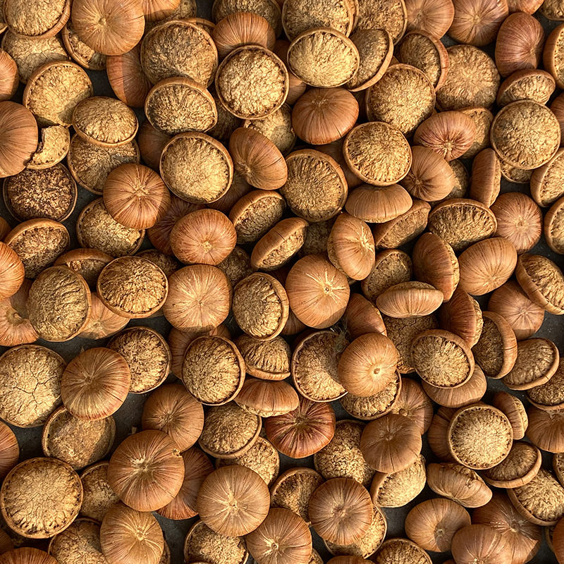 Feng Liu Gu Dried Whole Fruit 500g Traditional Herbal Decoction Ingredient for Cooking and Wine Infusion - Image 2