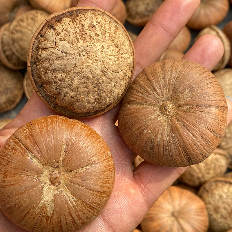 Feng Liu Gu Dried Whole Fruit 500g Traditional Herbal Decoction Ingredient for Cooking and Wine Infusion - Image 3