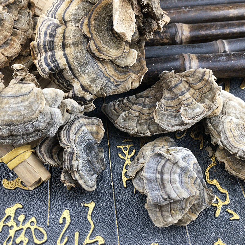 Yun Zhi Coriolus Mushroom Dried Cloud Polypore Slices Traditional Herbal Decoction Ingredient 500g - Image 4