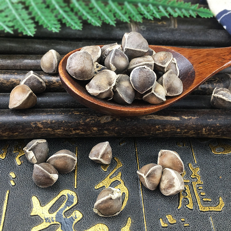 Moringa Seeds La Mu Zi 辣木籽 Dried Whole Seeds 500g Bulk Herbal Botanical - Image 3