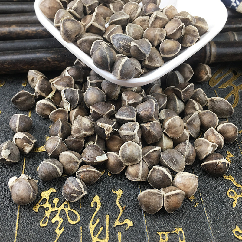 Moringa Seeds La Mu Zi 辣木籽 Dried Whole Seeds 500g Bulk Herbal Botanical - Image 2