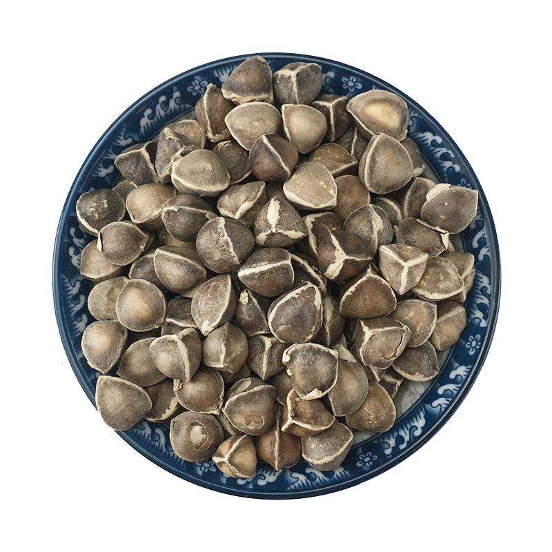 Moringa Seeds La Mu Zi 辣木籽 Dried Whole Seeds 500g Bulk Herbal Botanical - Image 5