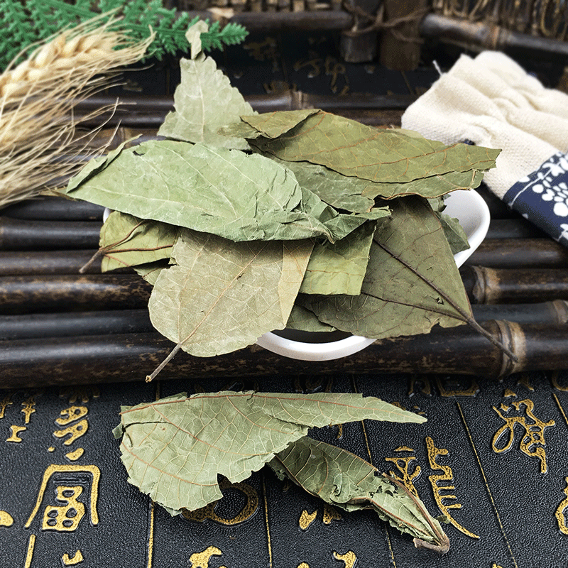 Bu Zha Ye Dried Microcos Leaf Clean New Harvest Bulk Wholesale Supply - Image 4