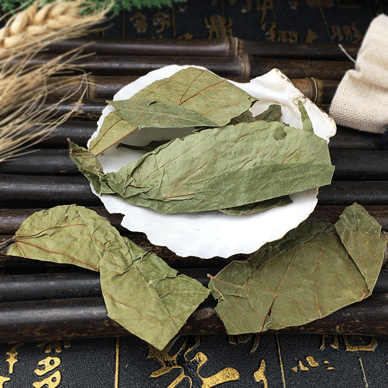 Bu Zha Ye Dried Microcos Leaf Clean New Harvest Bulk Wholesale Supply - Image 3