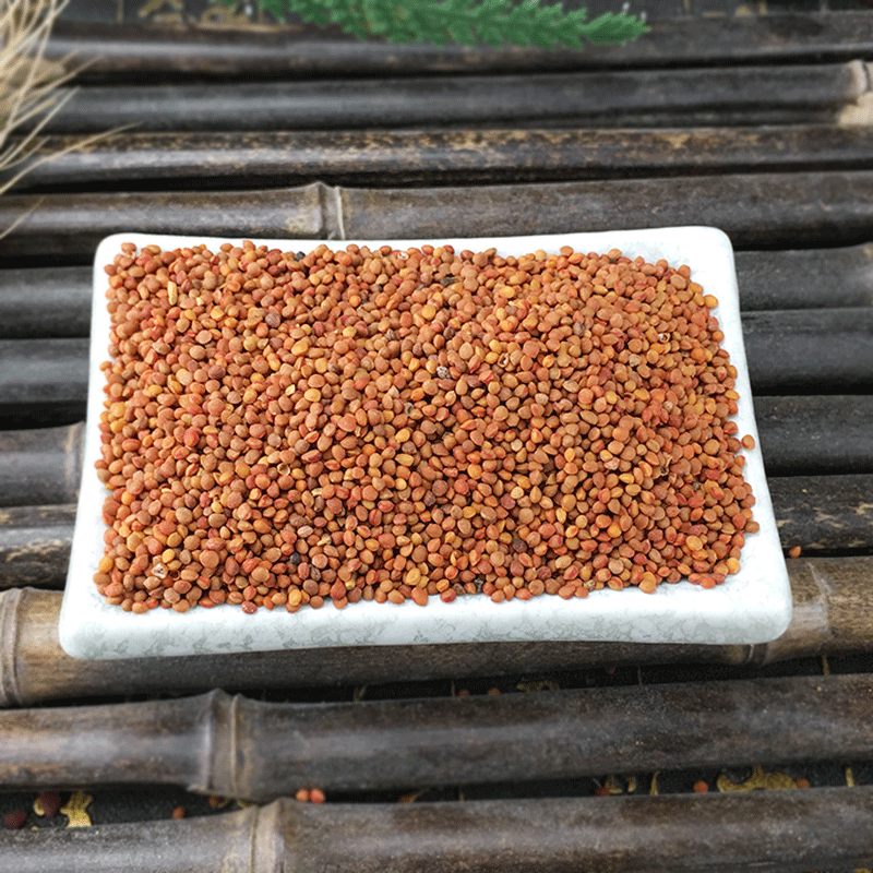 Chu Shi Zi Dried Broussonetia Fruit 500g Traditional TCM Herb for Decoction and Herbal Tea - Image 3