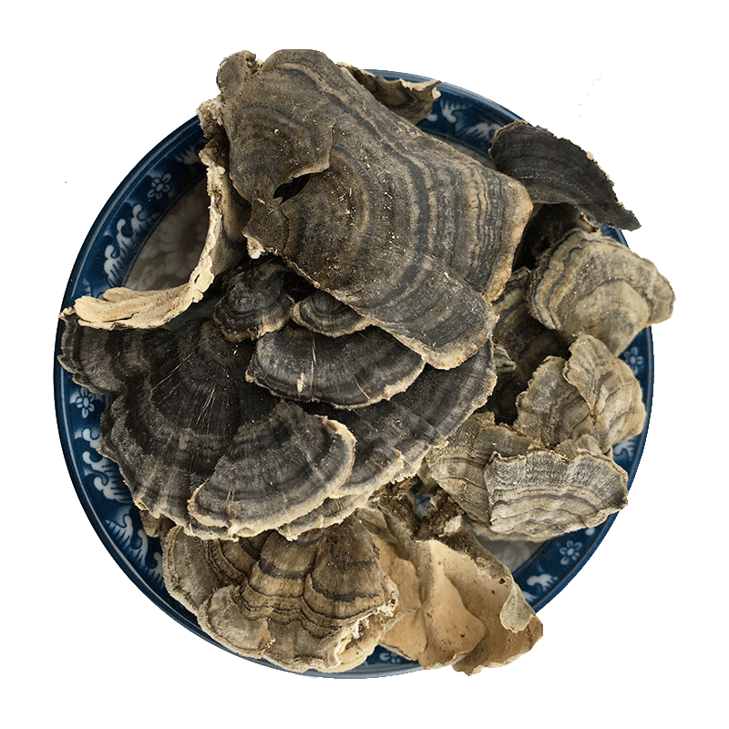 Yun Zhi Coriolus Mushroom Dried Cloud Polypore Slices Traditional Herbal Decoction Ingredient 500g - Image 5