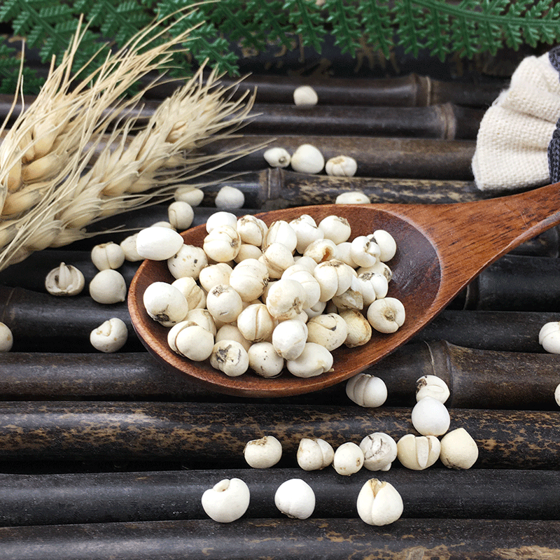 Sichuan Chuan Bei Mu Fritillaria Bulbs Huai Zhong Bao Yue Dried Herb for Decoction and Herbal Soup - Image 4