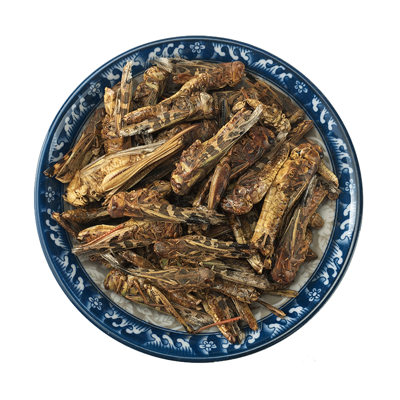 Dried Grasshoppers Ma Zha Edible Insect Snack Ingredient Sun Dried 500g - Image 5