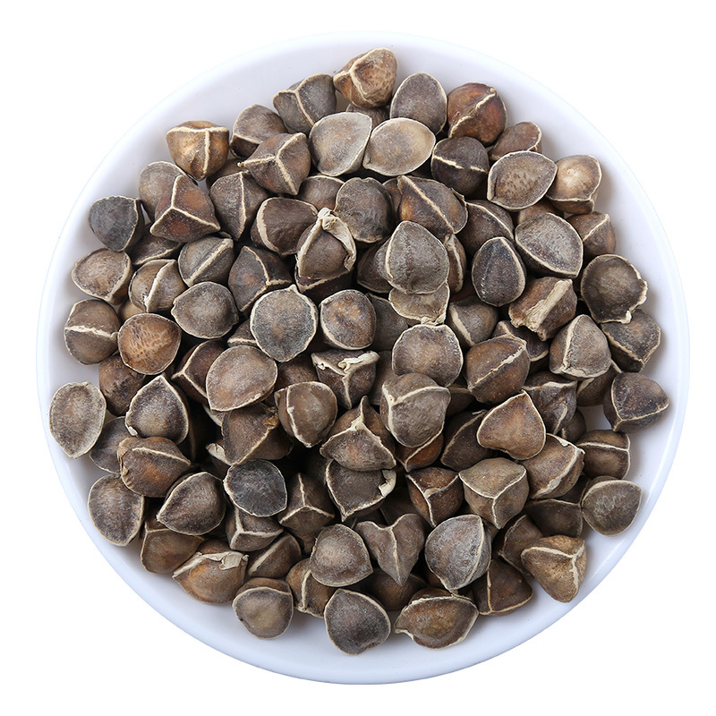 Moringa Seeds (Moringa oleifera) — Dried Herbal Seeds, 500g Food-Grade Bulk Supply - Image 5