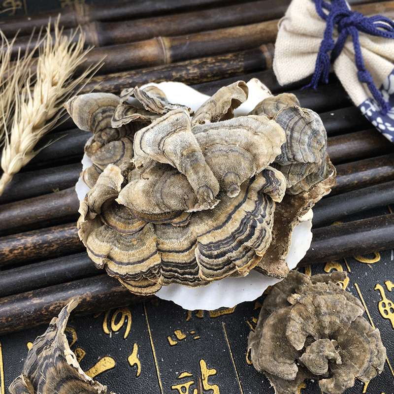 Yun Zhi Coriolus Mushroom Dried Cloud Polypore Slices Traditional Herbal Decoction Ingredient 500g - Image 2