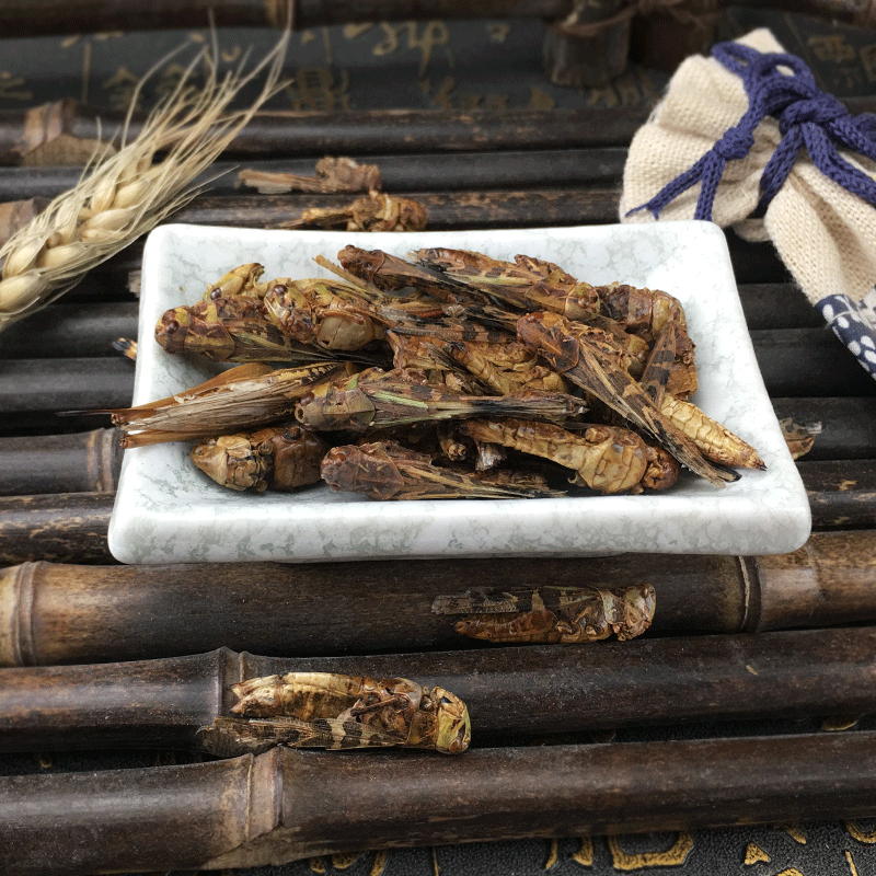 Dried Grasshoppers Ma Zha Edible Insect Snack Ingredient Sun Dried 500g - Image 2