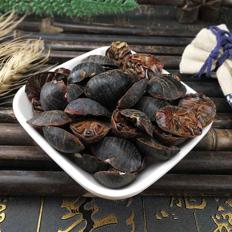Dried Ground Beetle Tu Bie Chong Whole Insect Traditional Chinese Herb Bulk Dried Decoction Ingredient - Image 4