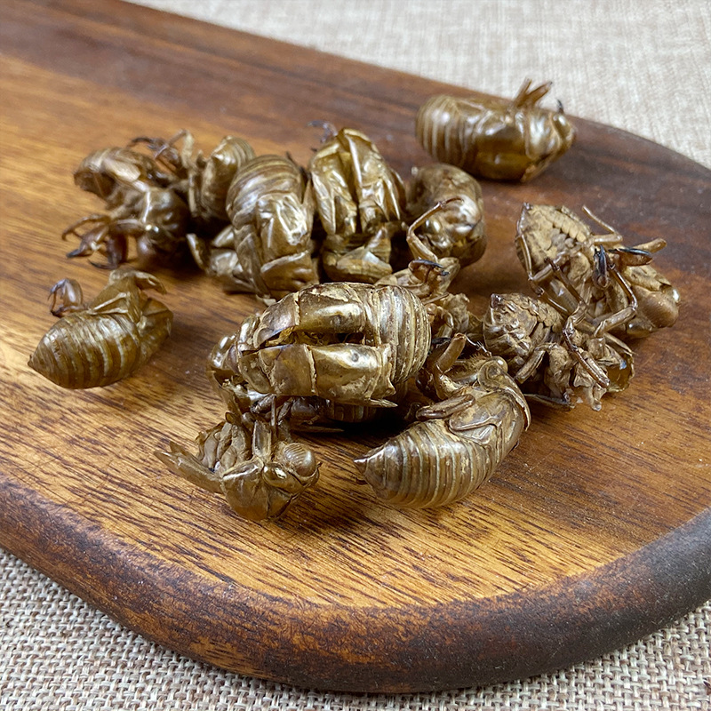 Cicada Slough Chan Tui 蝉蜕 Dried Whole Insect Molt Traditional Chinese Herb 500g Washed - Image 2