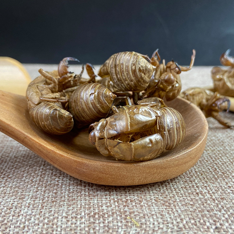 Cicada Slough Chan Tui 蝉蜕 Dried Whole Insect Molt Traditional Chinese Herb 500g Washed - Image 4