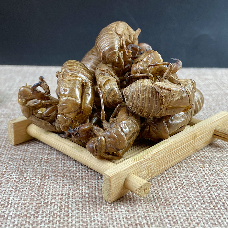 Cicada Slough Chan Tui 蝉蜕 Dried Whole Insect Molt Traditional Chinese Herb 500g Washed - Image 3