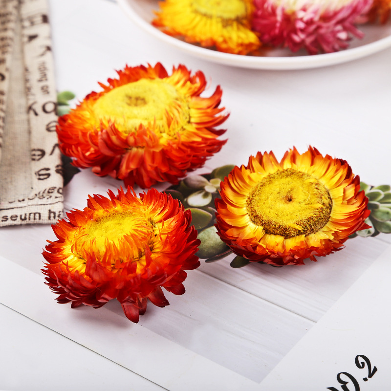 Yunnan Rainbow Chrysanthemum Flower Heads (Chrysanthemum morifolium) — Dried Edible Flower Tea, 500g Bulk - Image 3