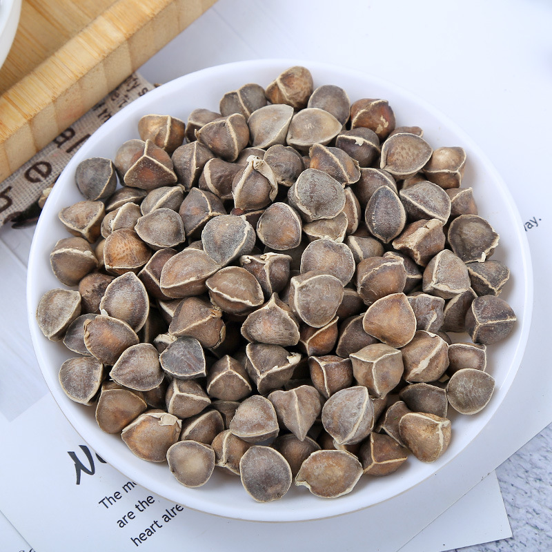 Moringa Seeds (Moringa oleifera) — Dried Herbal Seeds, 500g Food-Grade Bulk Supply - Image 2