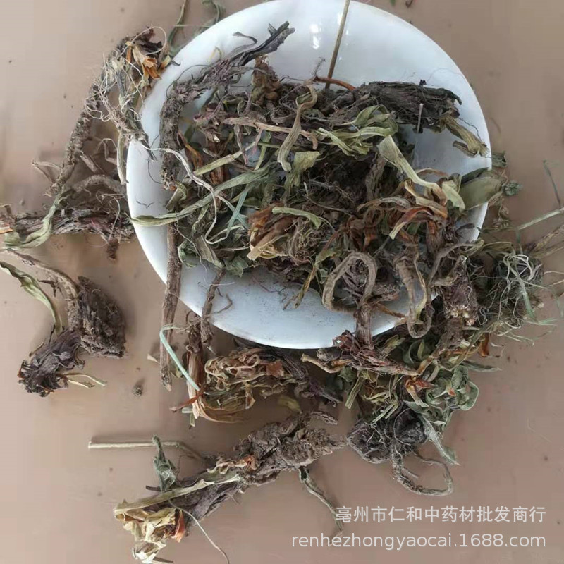 Dried Nardostachys Root Gan Song 甘松 Bulk Chinese Herb for Decoction and Culinary Use 500g - Image 2