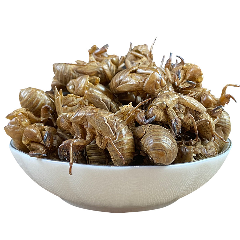Cicada Slough Chan Tui 蝉蜕 Dried Whole Insect Molt Traditional Chinese Herb 500g Washed - Image 5