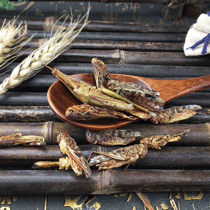 Dried Grasshoppers Ma Zha Edible Insect Snack Ingredient Sun Dried 500g - Image 4