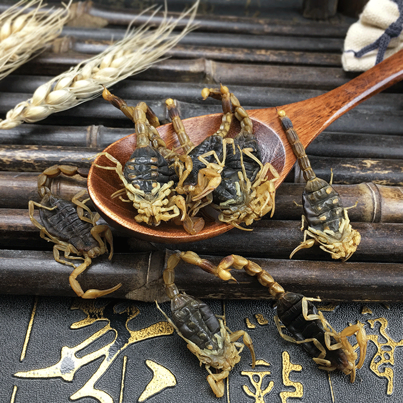 Dried Whole Scorpion Quan Xie 全蝎 Whole Body 100g Culinary and Tonic Herb - Image 3