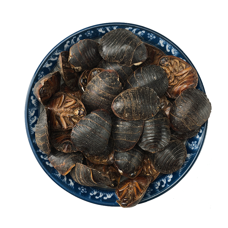 Dried Ground Beetle Tu Bie Chong Whole Insect Traditional Chinese Herb Bulk Dried Decoction Ingredient - Image 5