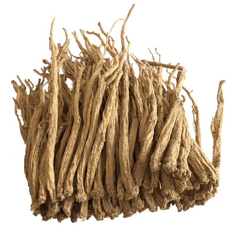 Dried Codonopsis Root Whole Strips Dang Shen 500g Gansu Sun-Dried Herb for Soup and Tea - Image 5