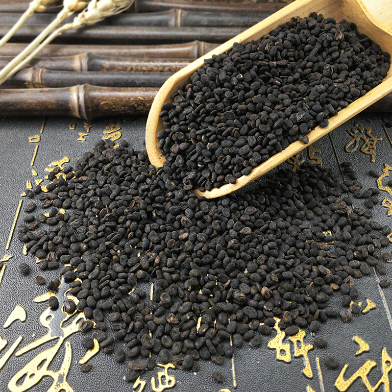 Dried Psoralea Fruit Bu Gu Zhi Whole Bulk 500g Traditional Chinese Herb - Image 2