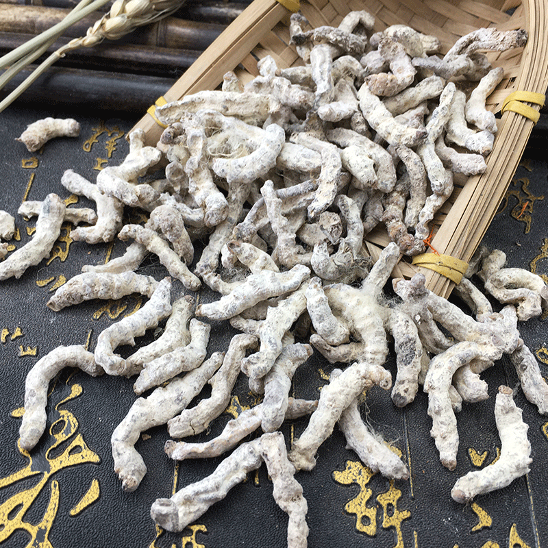 White Silkworm Jiang Can Dried Bombyx Batryticatus Bulk Chinese Herb 500g - Image 3