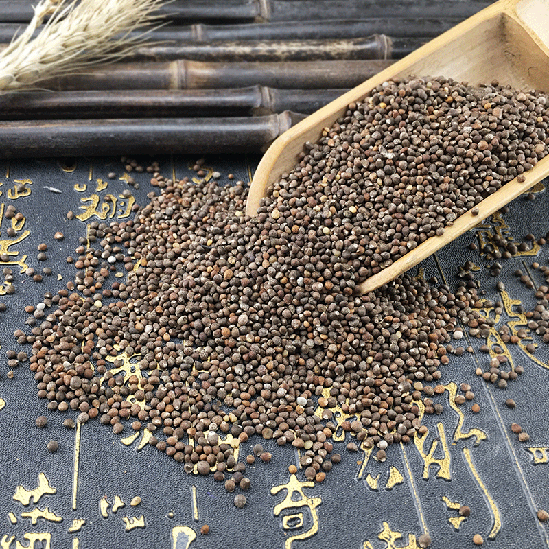 Perilla Seed Powder Zi Su Zi 500g Dried Fructus Perillae for Oil Pressing Bird Food and Herbal Use - Image 3