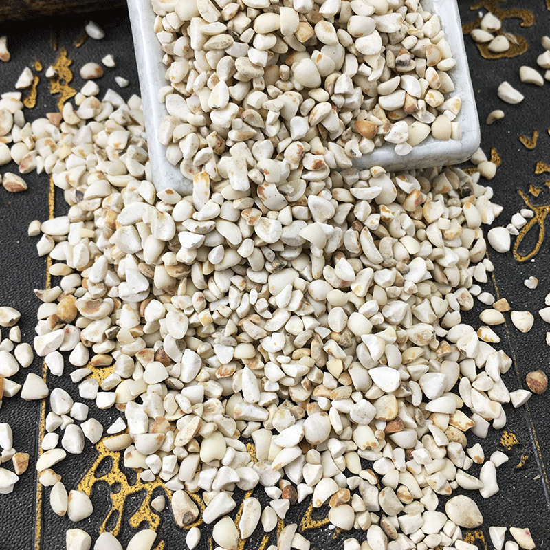Coix Seed Broken Pieces Yi Yi Ren 薏苡仁 Dried Job's Tears Splits for Tea Soup and Congee 500g Bulk - Image 2