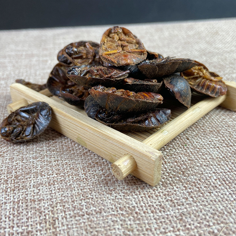 Dried Ground Beetle Tu Bie Chong Whole Insect Traditional Chinese Herb 1 Jin 500g Bulk Pack - Image 3