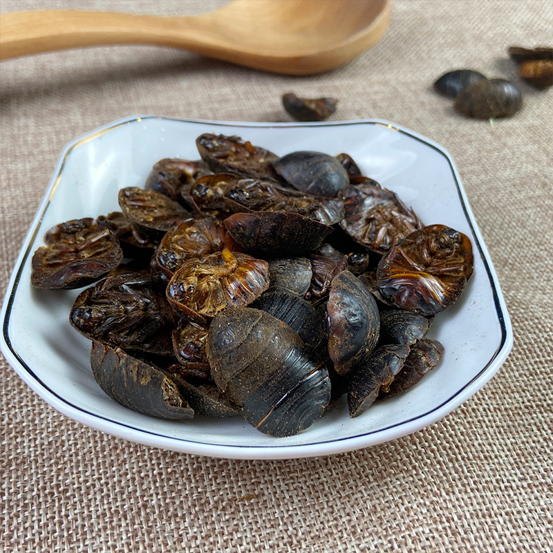 Dried Ground Beetle Tu Bie Chong Whole Insect Traditional Chinese Herb 1 Jin 500g Bulk Pack - Image 4