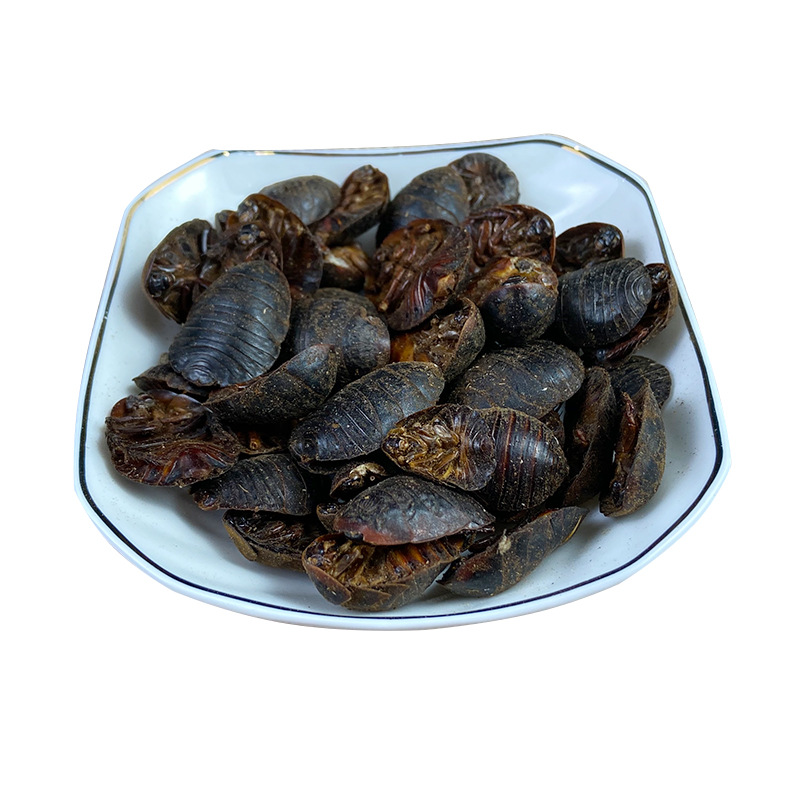 Dried Ground Beetle Tu Bie Chong Whole Insect Traditional Chinese Herb 1 Jin 500g Bulk Pack - Image 5