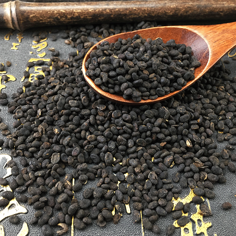 Dried Psoralea Fruit Bu Gu Zhi Whole Bulk 500g Traditional Chinese Herb - Image 4