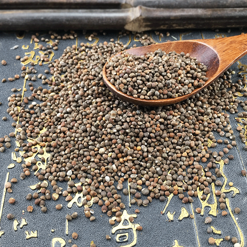 Perilla Seed Powder Zi Su Zi 500g Dried Fructus Perillae for Oil Pressing Bird Food and Herbal Use - Image 2