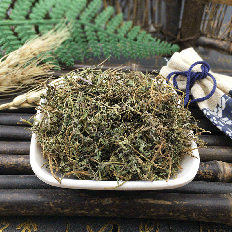 Dried Centipeda Herb E Bu Shi Cao Whole Dried Herb Traditional TCM Botanical Ingredient - Image 2