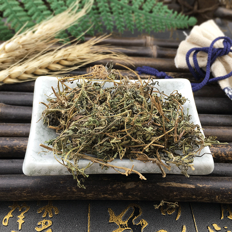 Dried Centipeda Herb E Bu Shi Cao Whole Dried Herb Traditional TCM Botanical Ingredient - Image 4