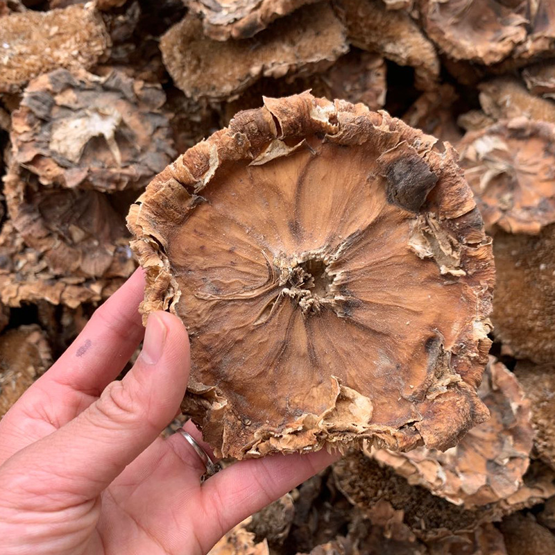 Dried Sunflower Disc Kui Hua Pan Helianthus annuus Whole Flower Head Traditional Herbal Ingredient 500g - Image 3