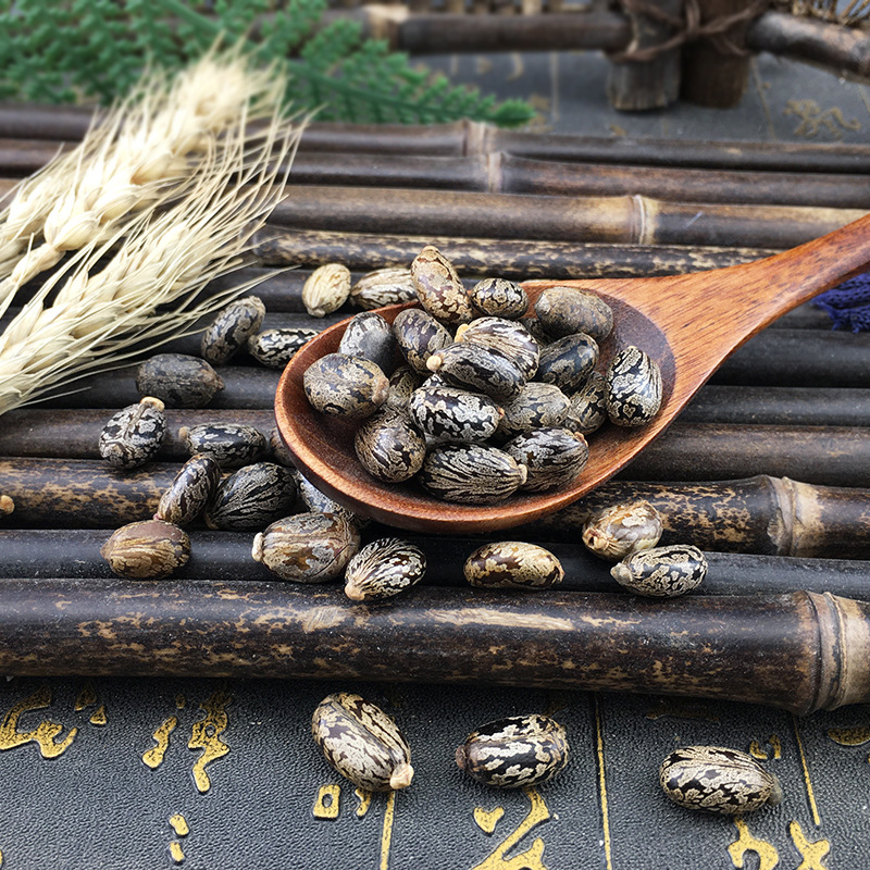 Castor Seeds Bi Ma Zi Dried Ricinus Communis Bulk Herbal Seeds 500g - Image 4