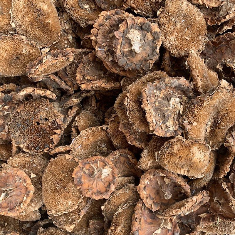 Dried Sunflower Disc Kui Hua Pan Helianthus annuus Whole Flower Head Traditional Herbal Ingredient 500g - Image 2